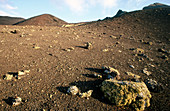 Timanfaya Natural Park. Lanzarote. Canary Islands. Spain.