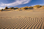 Sand ripples on Holkham beach. Norfolk, UK
