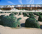 Sandstone and chalk cliffs at Hunstanton. Norfolk. England. UK
