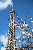 Eiffel Tower Paris France Spring