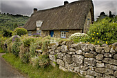 Cottage Garden Yorkshire UK July