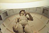 David, by Michelangelo. Galleria dell Accademia. Florence. Italy