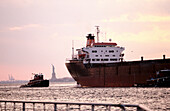 Container ship. Statue of Liberty in background. New York City. USA.