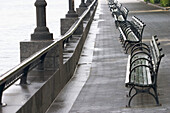  Alone, Bench, Benches, Calm, Calmness, Color, Colour, Concept, Concepts, Daytime, Empty, Exterior, Gray, Grey, Horizontal, Hudson River, Isolated, Leisure, Lined up, Lined-up, Morning, Nobody, Nyc park, Outdoor, Outdoors, Outside, Park, Park bench, Peace