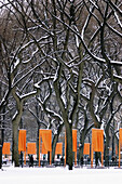 Christo s Gates Art Installation Project, Central Park, New York City, 2005