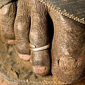 Toes detail. Masai. Tanzania