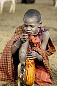 Maasai ritual. Eating coagulated blood. Tanzania