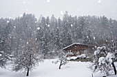 Haus im Schneegestöber, Alpen, Österreich