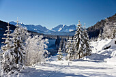 winterscenery in the bavarian Alps, Upper Bavaria, Germany