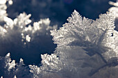 snow crystals, sun, Bavaria, Germany