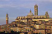 Cathedral, Siena. Tuscany, Italy