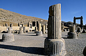 Chapiters. Hundred-Column Hall (Throne hall). Persepolis. Iran.