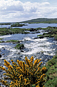 Torrent, near Ahalia Lake. Connemara. Co. Galway. Ireland.