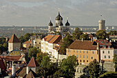 View from St. Olaf church. Tallinn. Estonia.