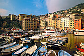 Harbor. Camogli. Liguria. Italy