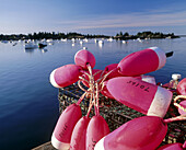 Lobster buoys. Vinalhaven Island. Maine. USA