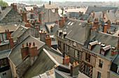 Rooftops. Blois. Val-de-Loire. France