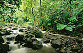 Cascades Faarumai. Tahiti. French Polinesia