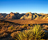 View of the Spring Mountains in the Red Rock Canyon. Nevada. USA