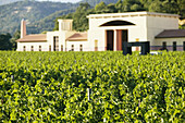 Clos Pegase Winery in Napa Valley. California, USA