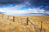 Fence and field, Head Smashed-In Buffalo Jump Centre. Fort Macleod. Alberta, Canada