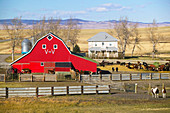 Red barn and ranch. Pincher Creek. Alberta, Canada