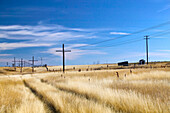 Prairie road. Morse. Saskatchewan, Canada