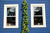 Blue wall of antique shop at quaint Wisconsin village. Cedarburg. Wisconsin, USA