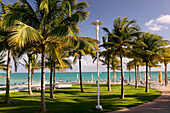 Bahamas, Grand Bahama Island, Lucaya: Our Lucaya Beach Resort, Westin Hotel, Beach front