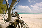 Bahamas, Grand Bahama Island, Eastern Side: Lucayan National Park, Gold Rock Beach