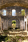 Barbados, St. Peter Parish-, Farley Hill: Farley Hill National Park, former 19th Century Sugar Plantation House, Plantation House Ruins (burnt in fire 1965)