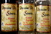 French West Indies (FWI), Guadeloupe, Basse-Terre, Lamentin-Area: Domaine de Severin Rum Bottles. Distillerie du Domaine de Severin, Rum Distillery