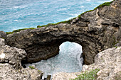French West Indies (FWI), Guadeloupe, Marie-Galante Island, Gueule Grand Gouffre: Rock Arch, North Coast