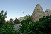 Hot Air Balloons over Cappadocia, Turkey, Europe