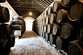 Fässer im Weinkeller, Bodegas Gongora, Villanueva del Ariscal, in der Nähe von Sevilla, Andalusien, Spanien, Europa