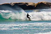 Surfer beim Surfen, Wellenreiten, Sandy Bay Beach, Kapstadt, Südafrika, Afrika
