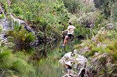 Mann springt ins Wasser, Grabouw Forest Park, In der Nähe von Kapstadt, Südafrika, Afrika, mr
