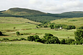 Landscape near Loch Ard, Southern Highlands, Scotland, Great Britain, Europe