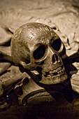Scull in imperial crypt, Capuchins Church, Church of St. Mary of the Angels, Vienna, Austria