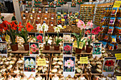 Amsterdam flower market seeds