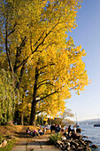 Switzerland Zuerich, Zurich,  lake promenade in autumn , people ,  trees