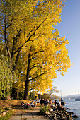 Schweiz Zürich Seepromenade