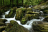 Selke river near Alexisbad in the Harz Mountains, Saxony Anhalt, Germany