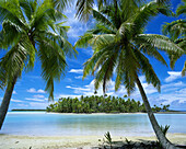 Rangiroa. Tuamotu Islands. French Polynesia