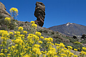 Teide Volcano. Cañadas del Teide National Park. Tenerife. Canary Islands. Spain