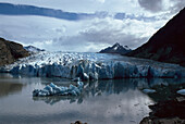 Grey Glacier. Torres del Paine National Park. Patagonia. Chile