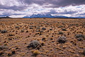 Torres del Paine National Park. Patagonia. Chile