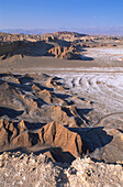 Atacama Desert. Chile