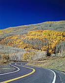 Dixie National Forest. Utah. USA
