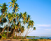 Molokai Island. Hawaii. USA